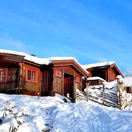 Koselig Familiehytte Pa Vakre Dagali - Naer Geilo 外观 照片